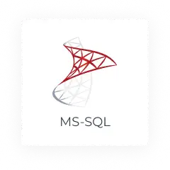 MySQL MySQL