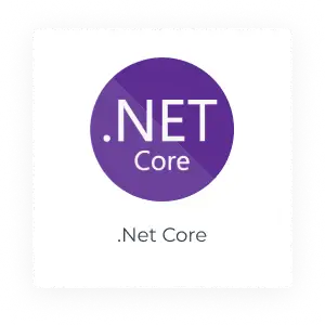 .netcore .netcore