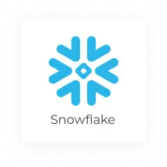 snowflake snowflake