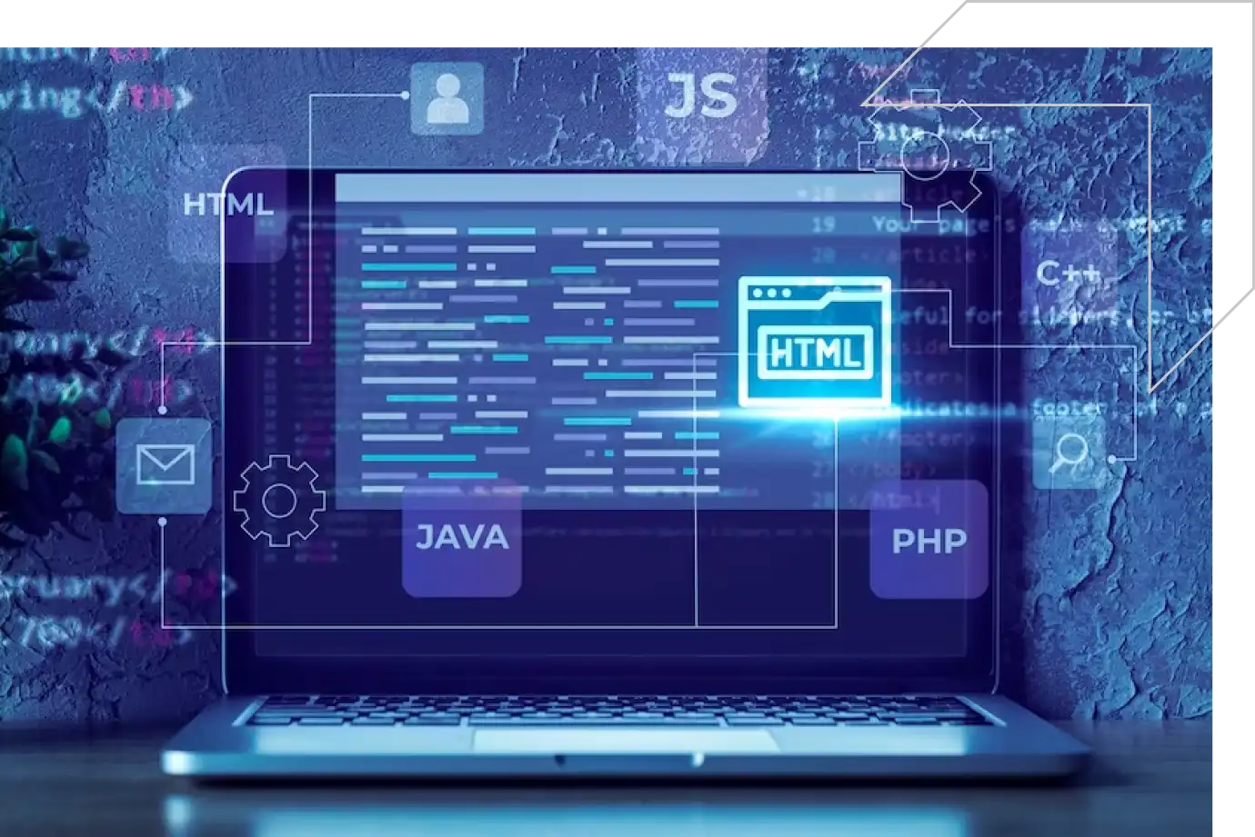 Custom Software Development Custom Software Development